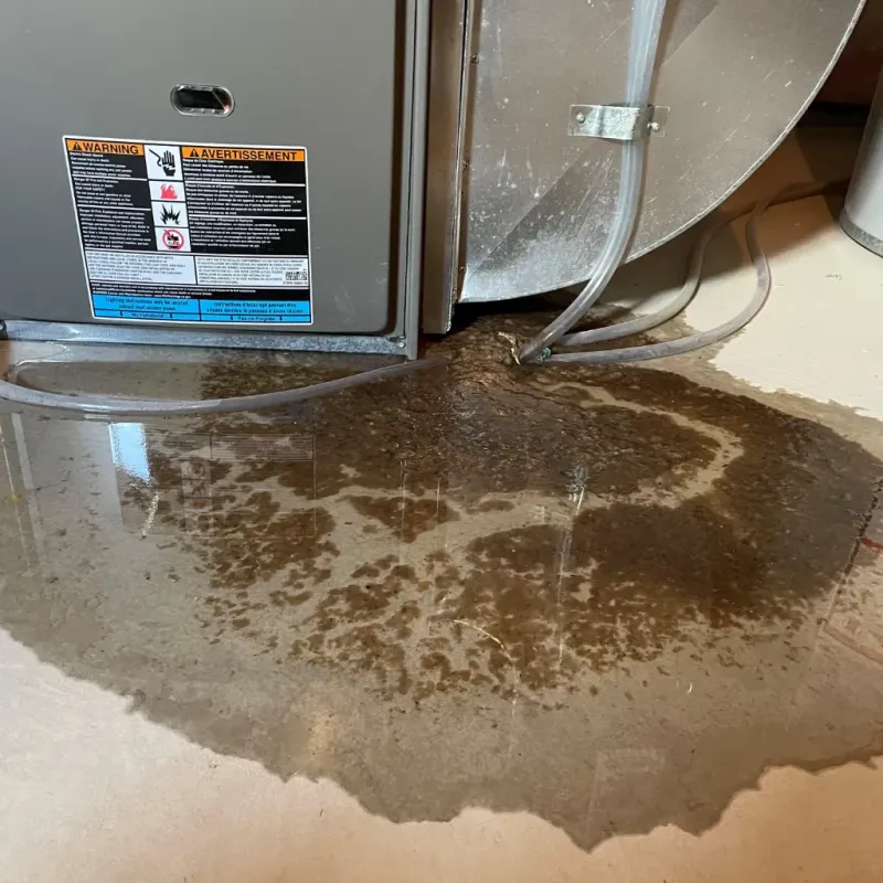 Appliance Leak Cleanup in Cove Creek, NC